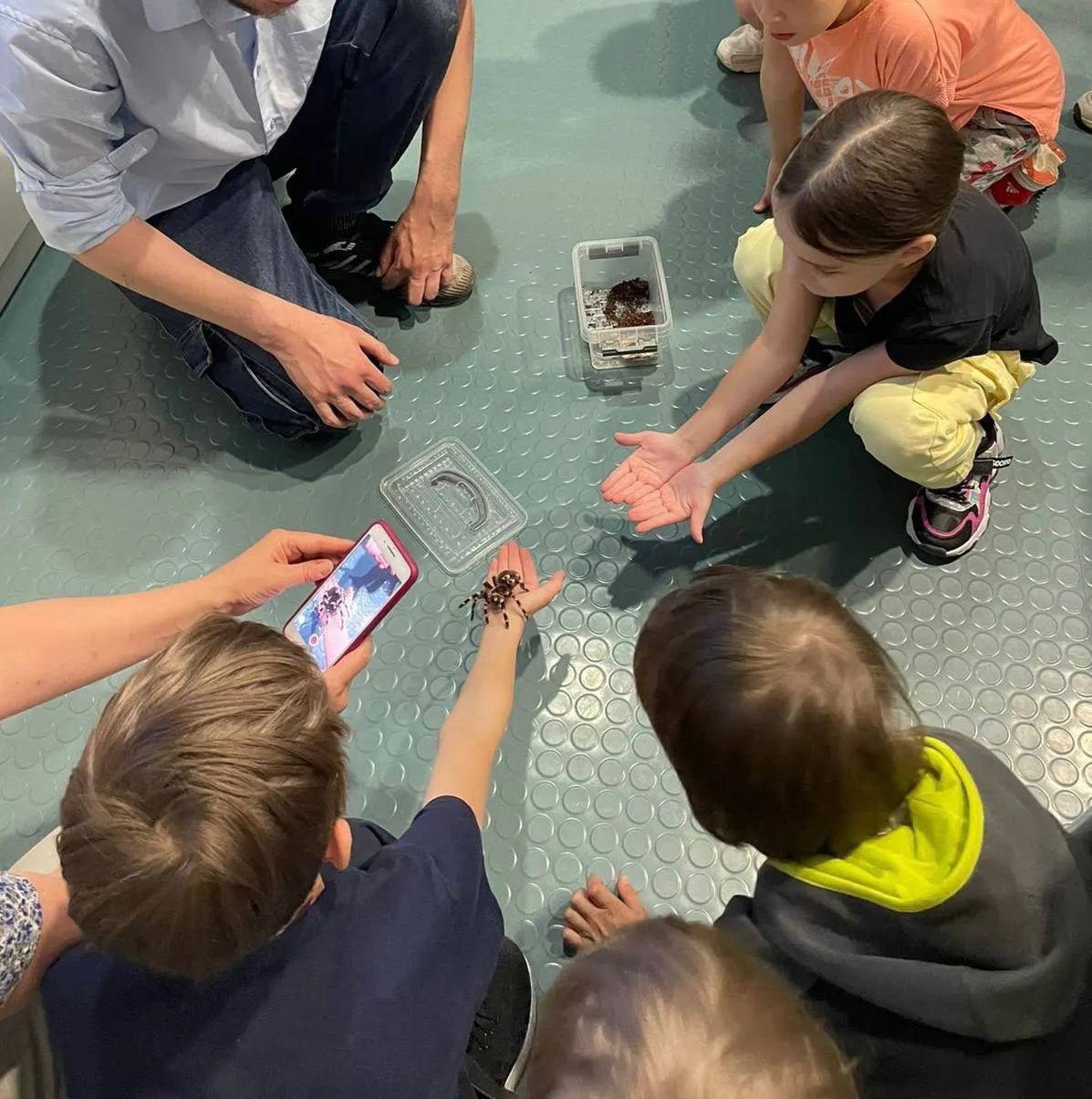 Восемь ног и восемь глаз