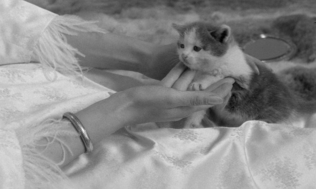 Киносеанс "Клео от 5 до 7" 24 мая 2025 года