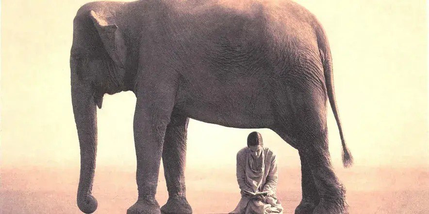 Пепел и снег