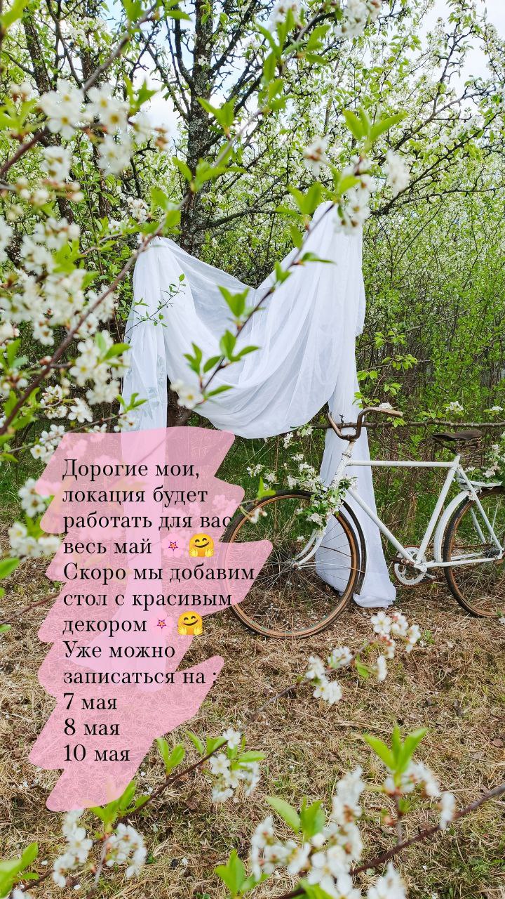 Фотосессии в вишневом саду