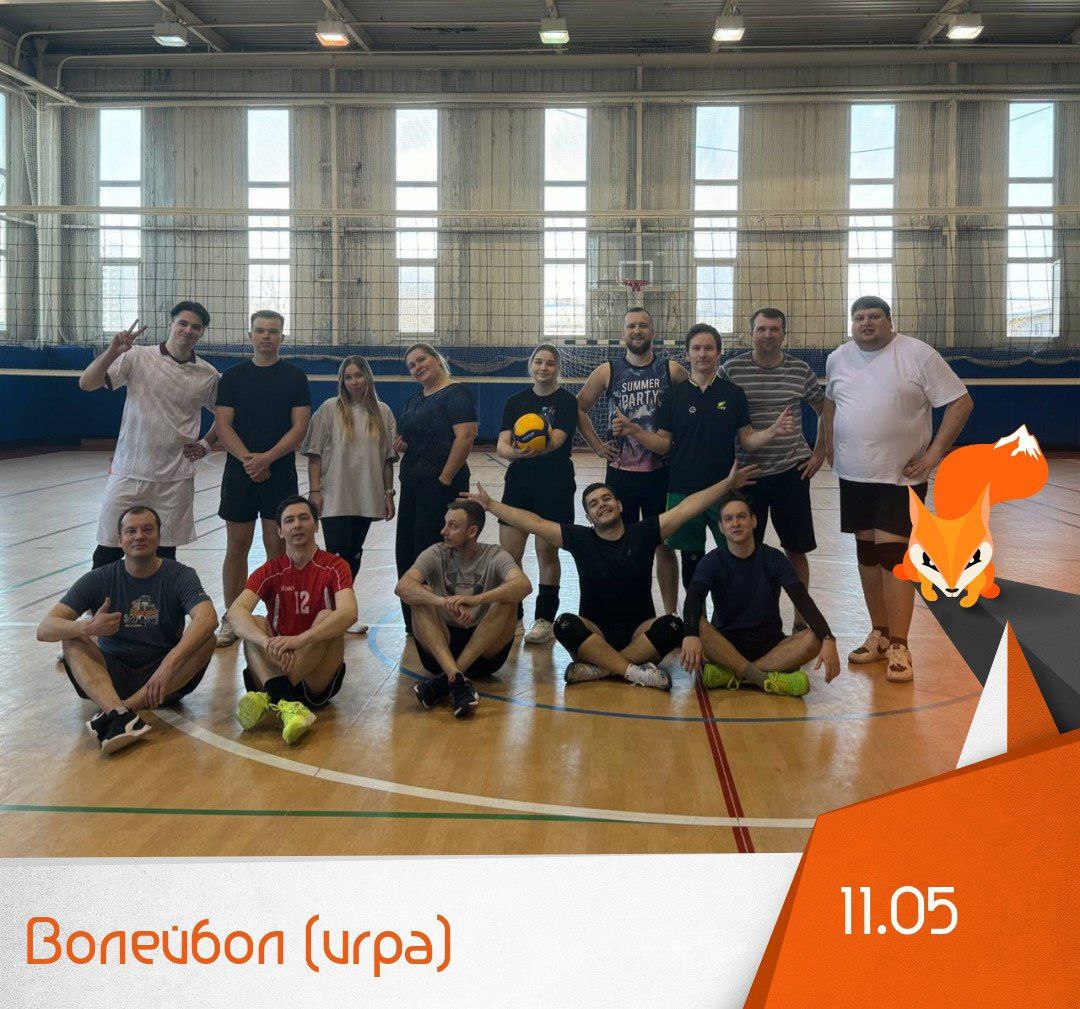 Волейбол (игра)