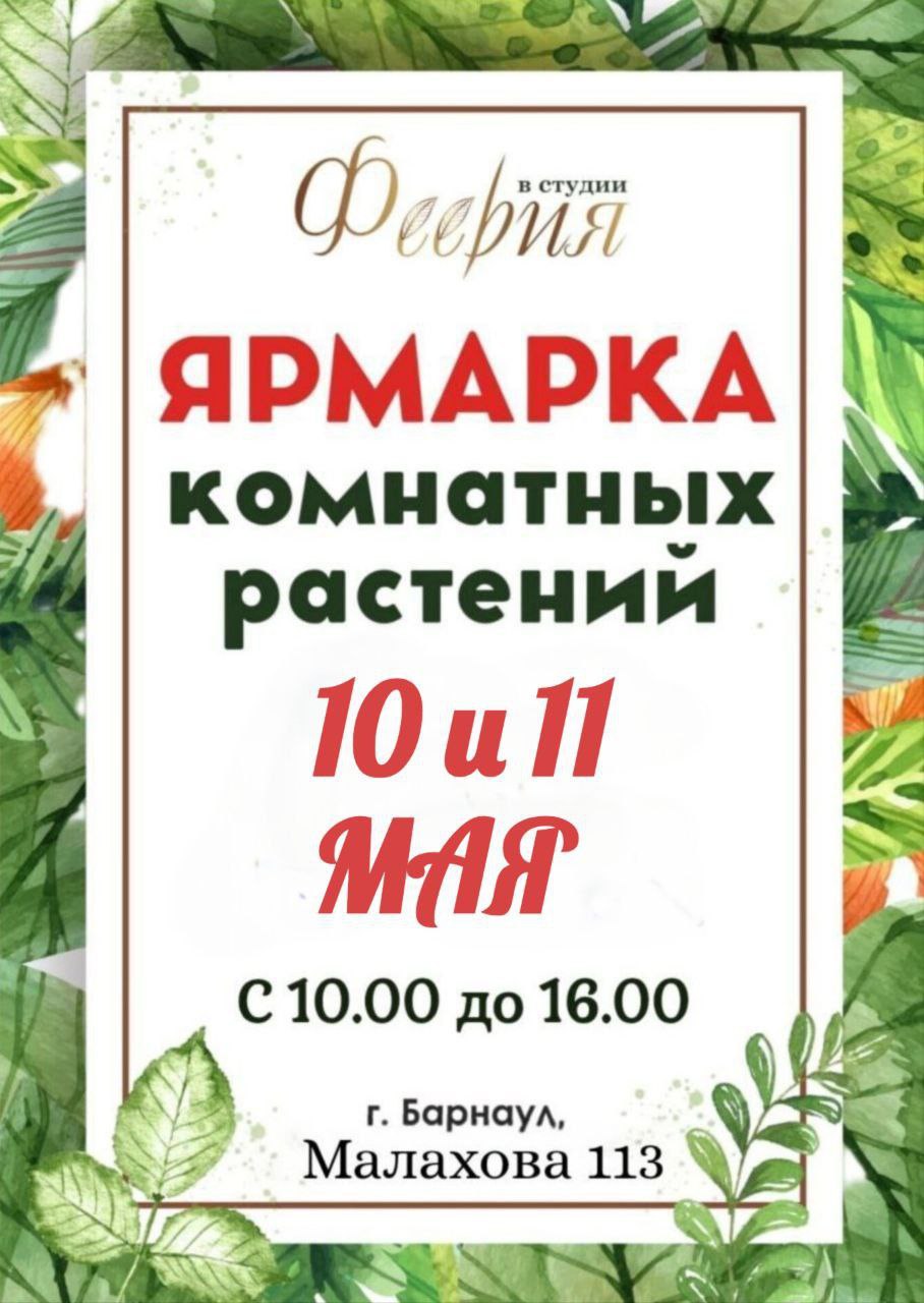ярмарка комнатных растений