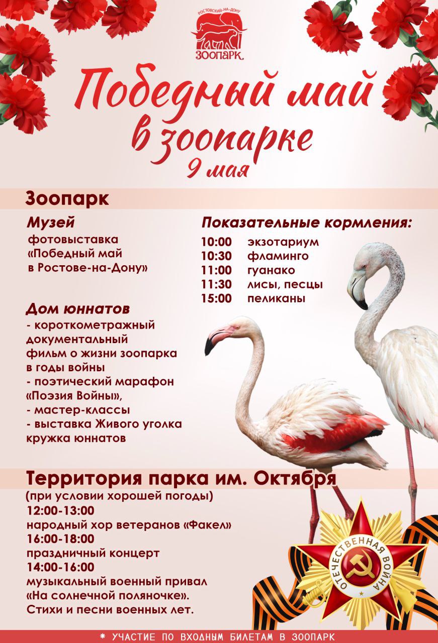 Победный май в зоопарке
