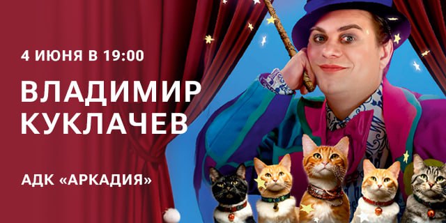 Кошки Кулачева в городе