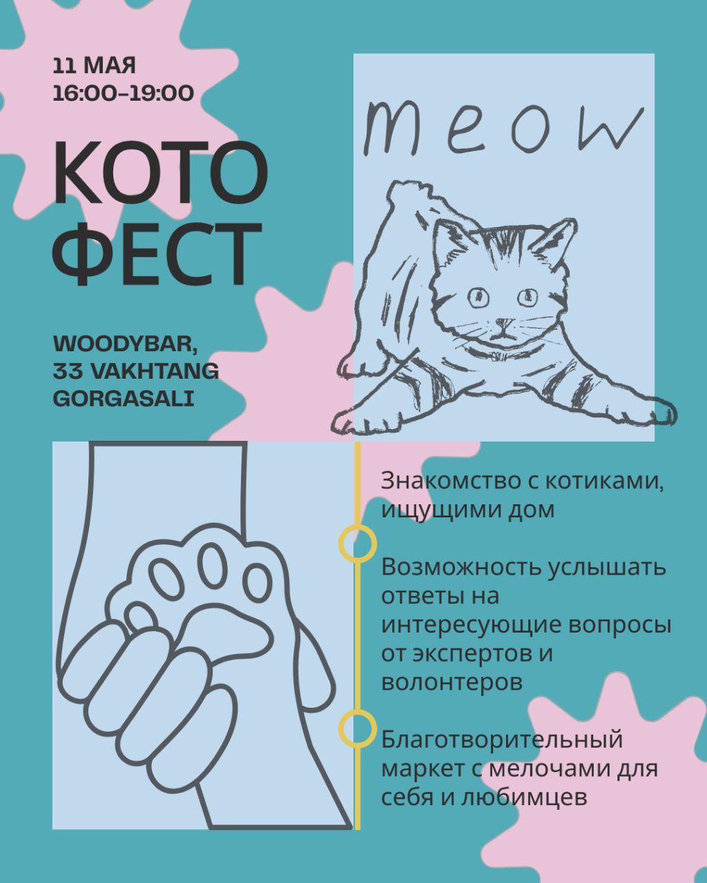 КОТОФЕСТ "Море котов"