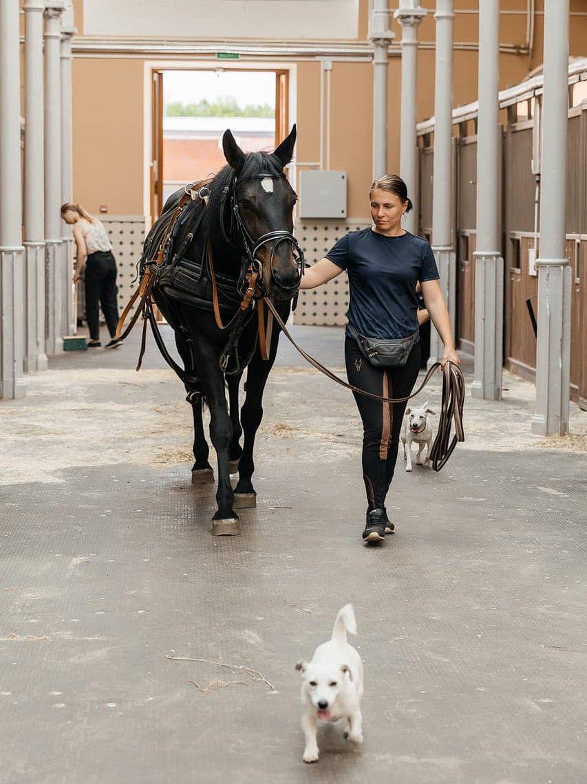 Идём на старинную ферму