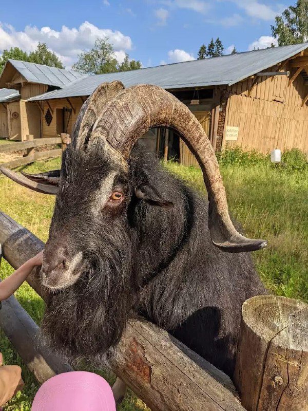 Идём на старинную ферму