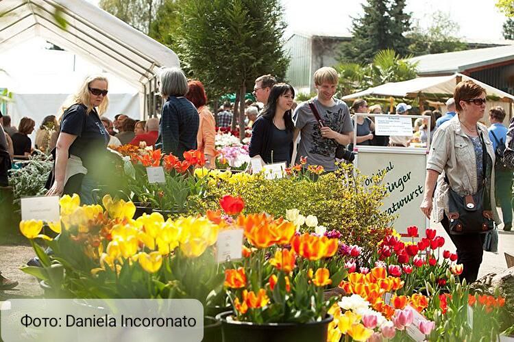 Весенний фестиваль в Späth'schen Baumschulen