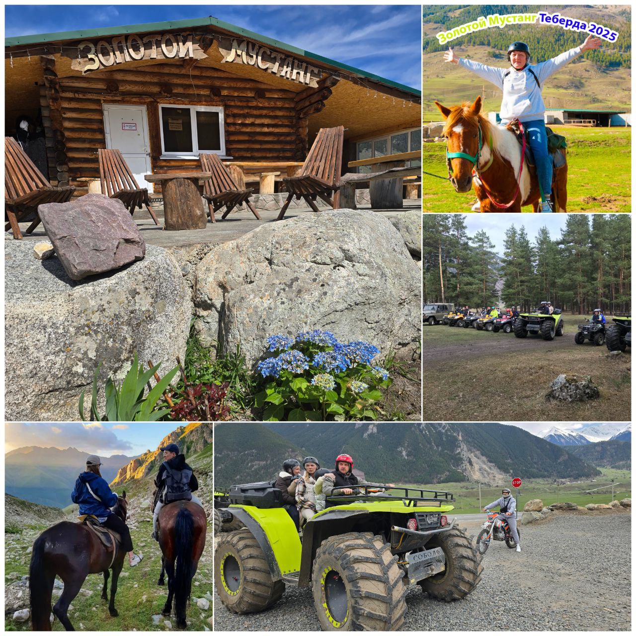 Золотой Мустанг Теберда 2025