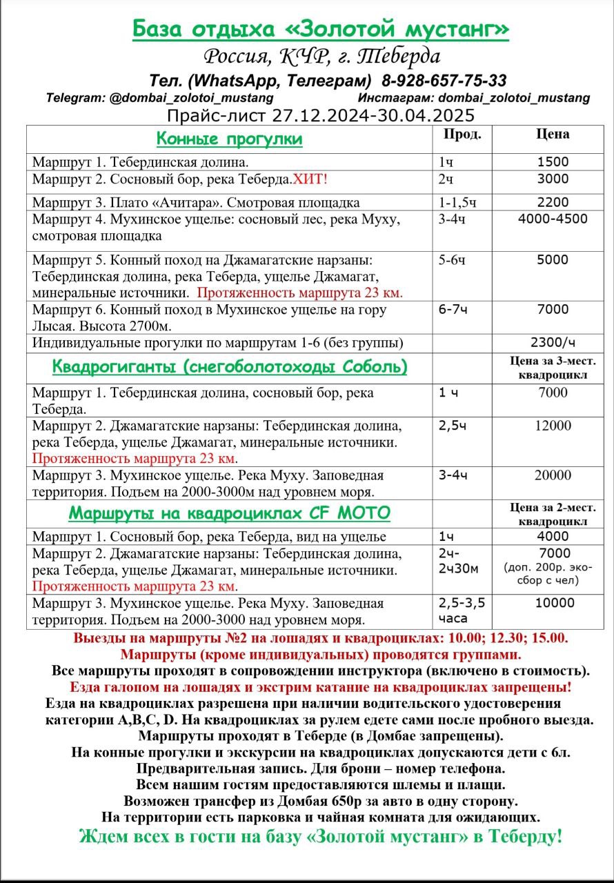 Золотой Мустанг Теберда 2025