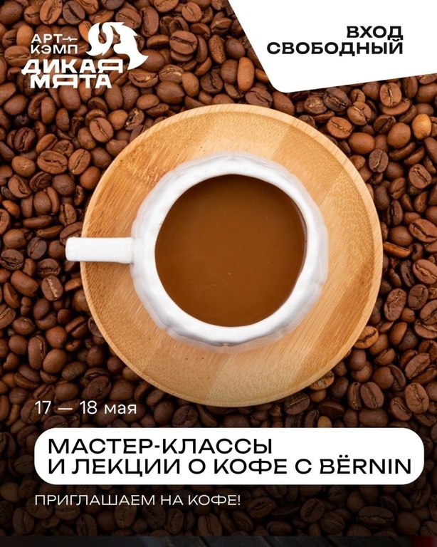 арт-кэмп «Дикая Мята» 17-18 мая 2025