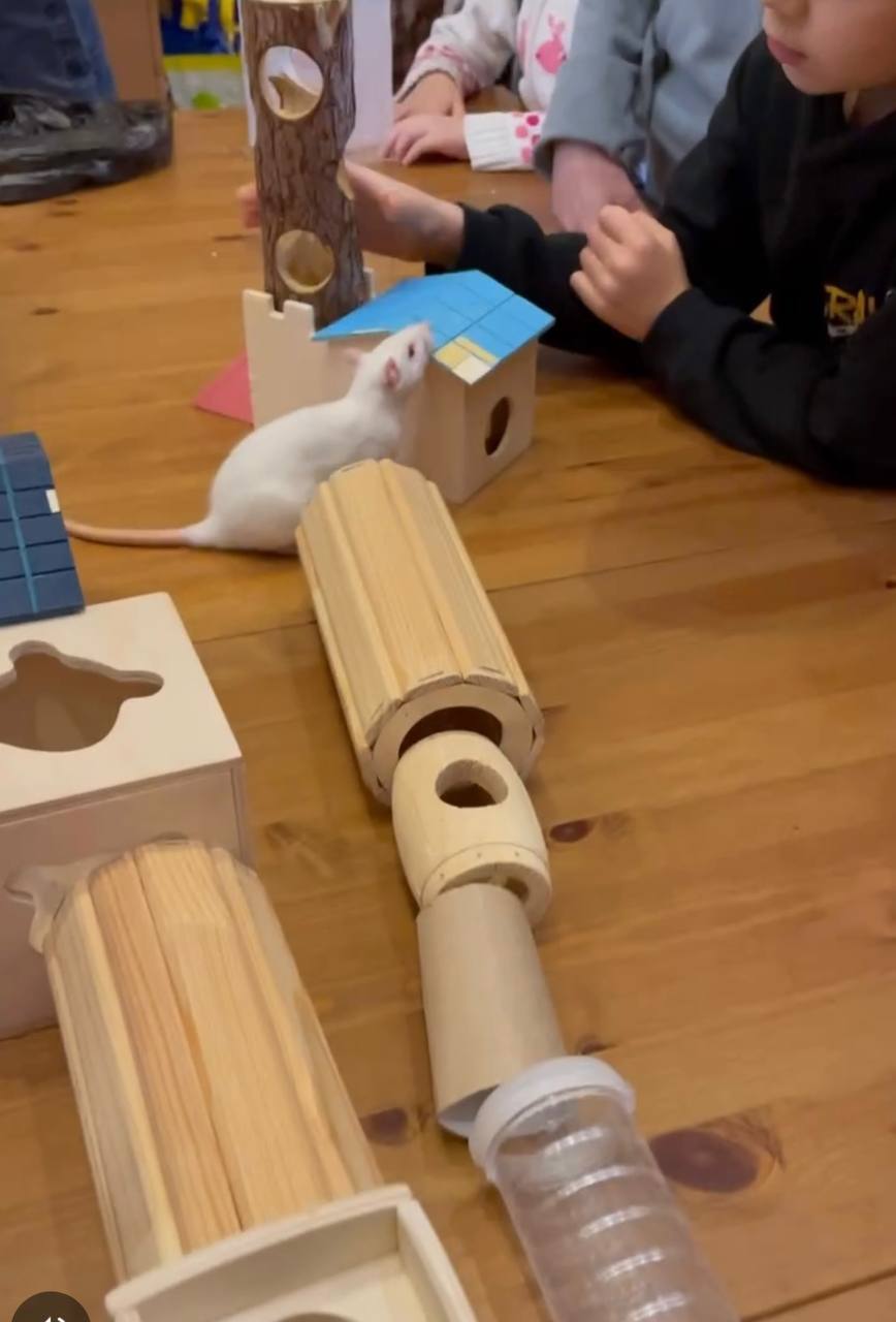 Живая физиология