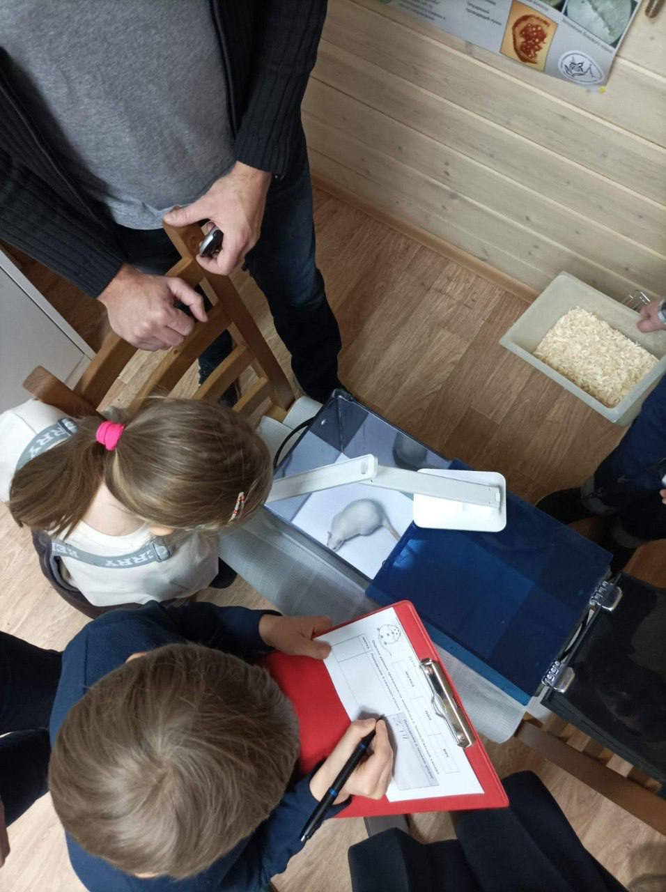 Живая физиология