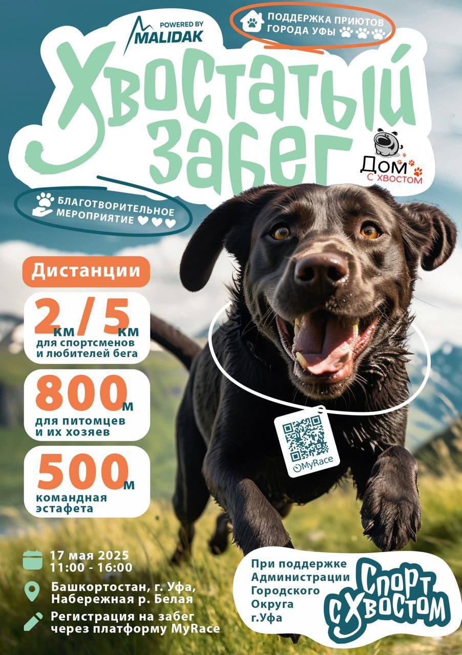 Хвостатый забег