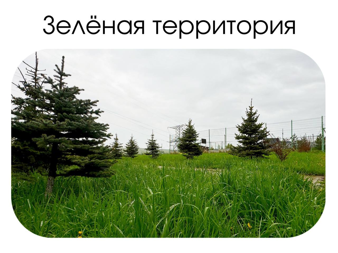 Летняя смена 2025 на базе отдыха «Регина» в г. Мамадыш