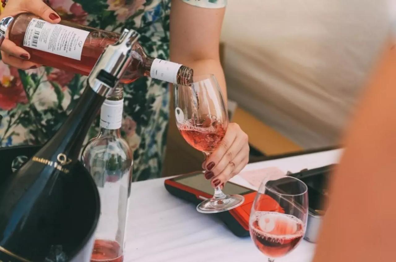 13-й фестиваль Růžový máj