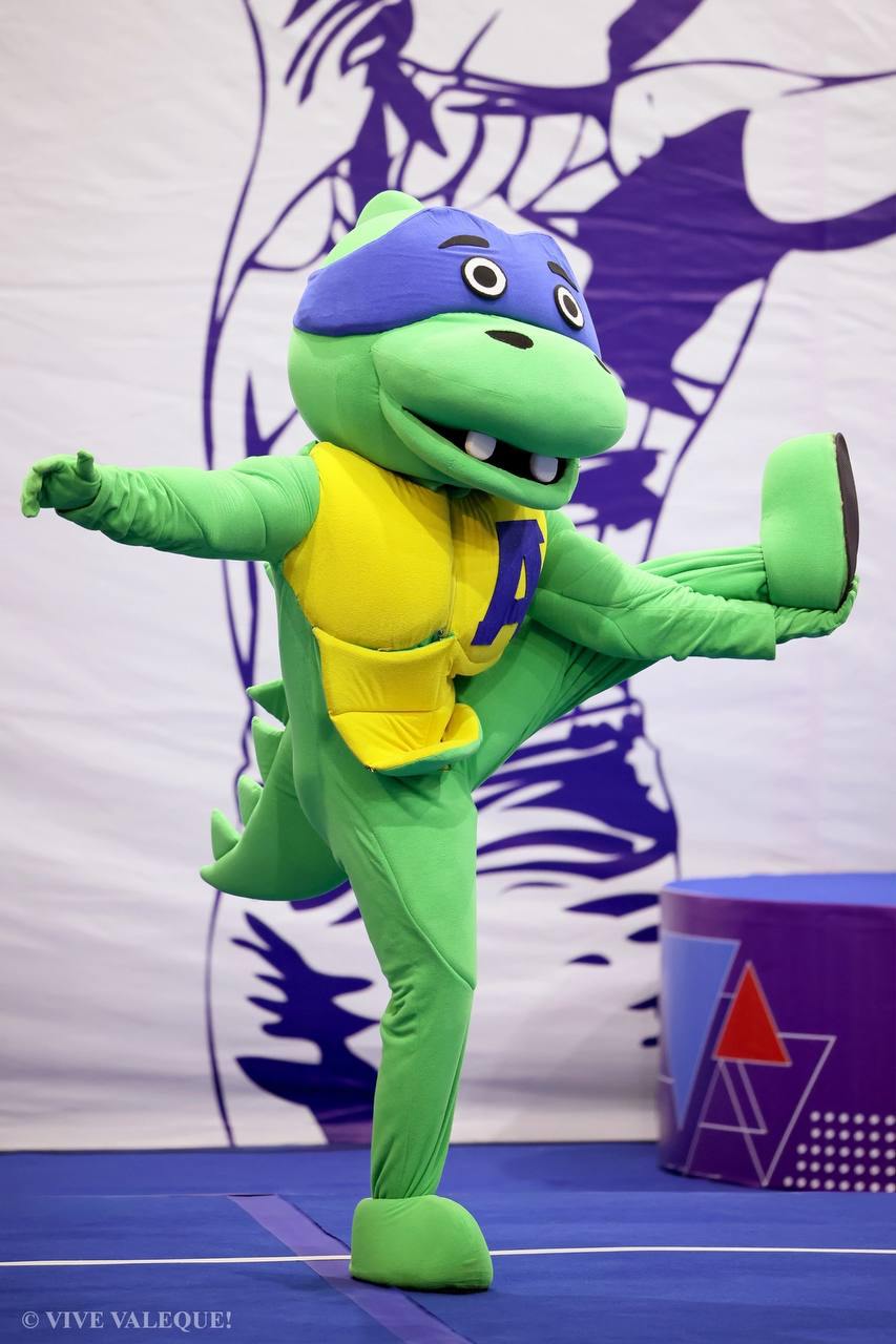 Фестиваль 'Акробаты страны'