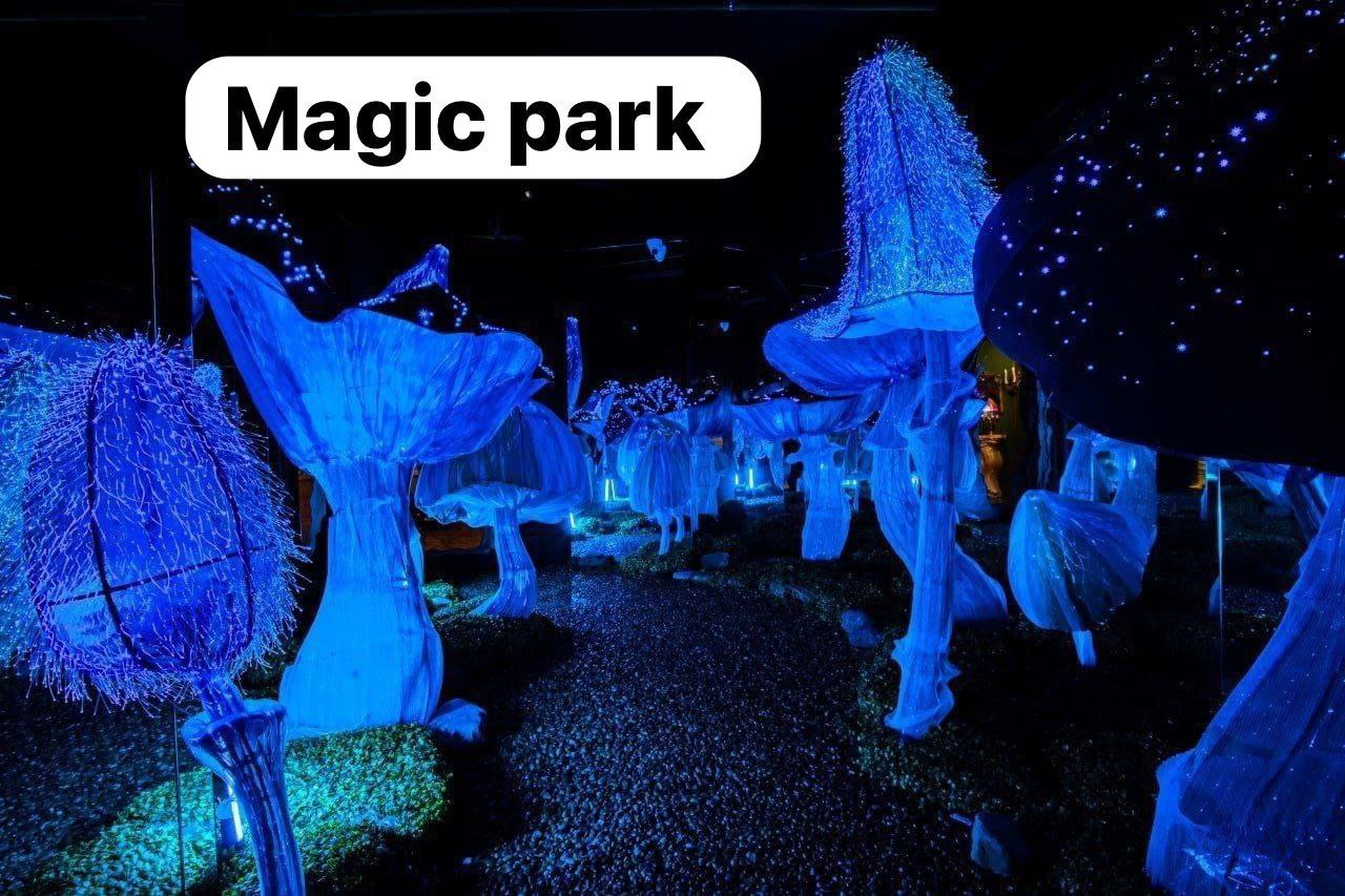 Magic Park – парк будущего