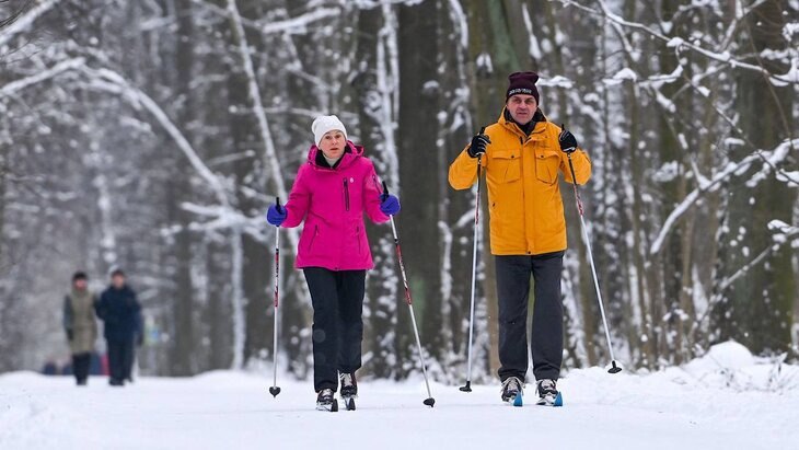 Зима в Подмосковье