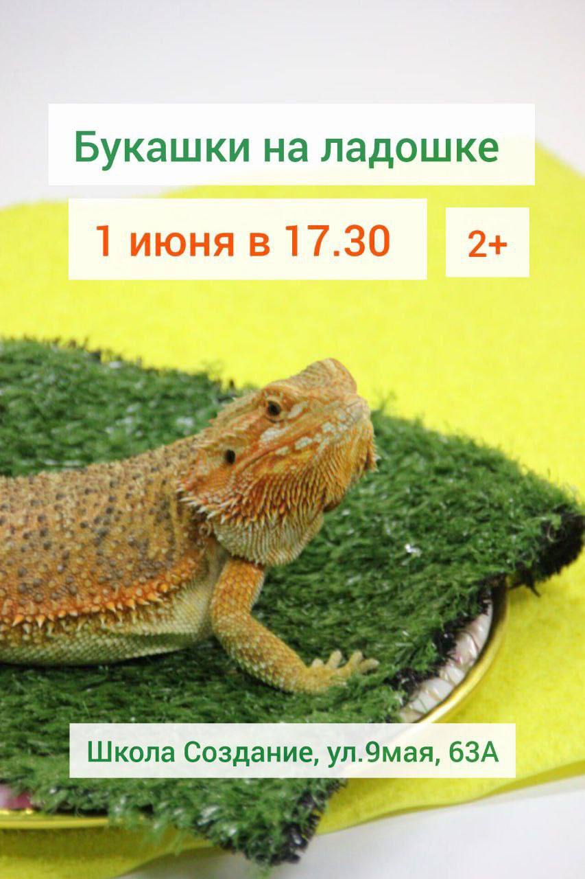 Детские события 18 мая, 31 мая и 1 июня