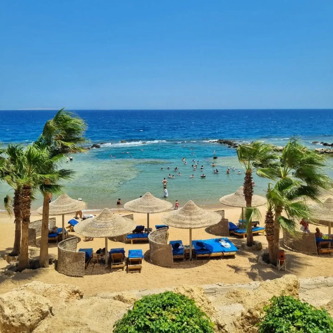 PICKALBATROS CITADEL RESORT 5* в Хургаде