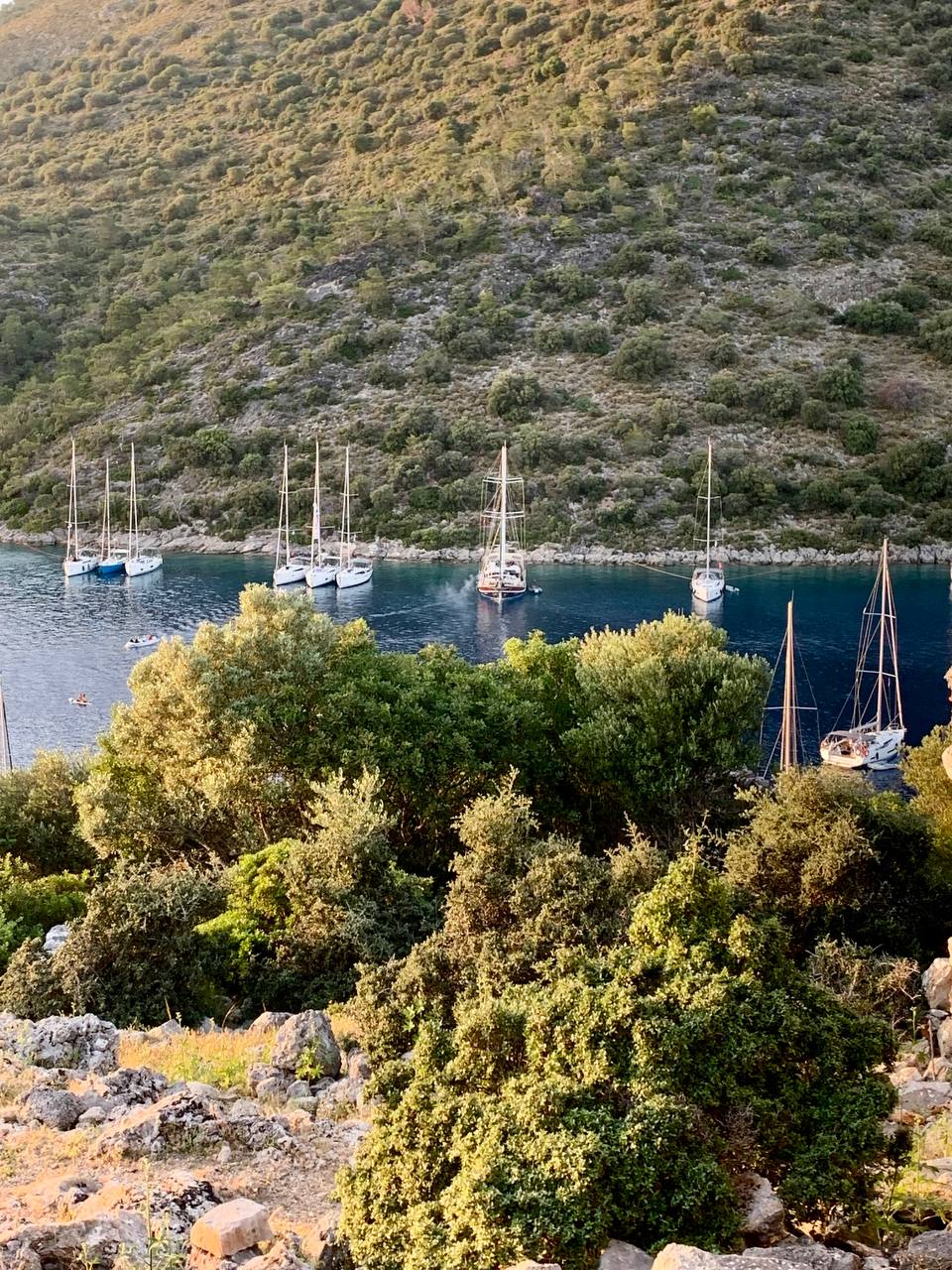 майская флотилия PROyachting