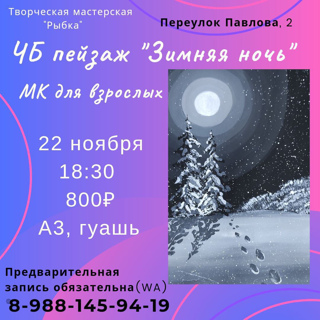 Мастер-класс для взрослых ЧБ пейзаж "Зимняя ночь"
