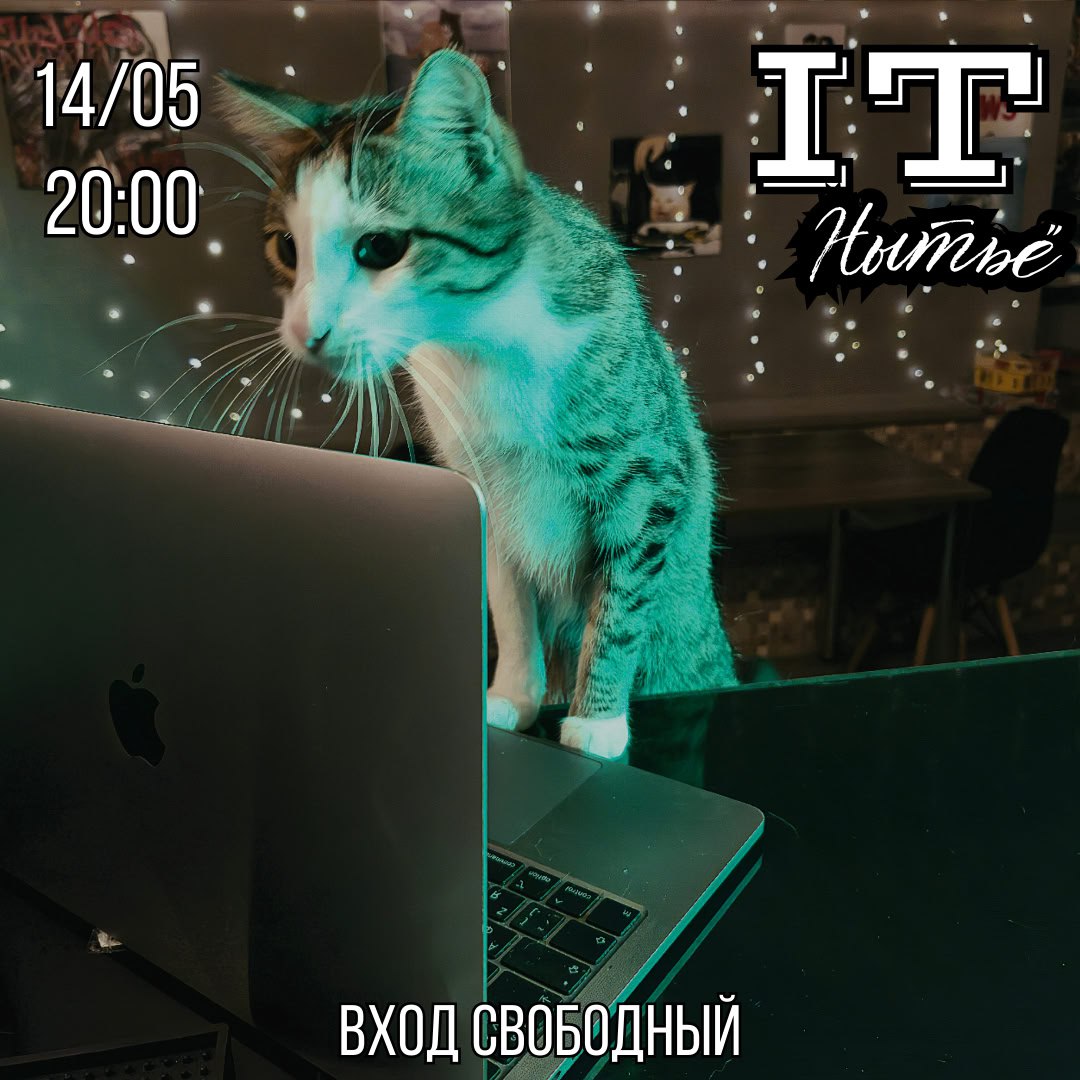 IT-нытьё