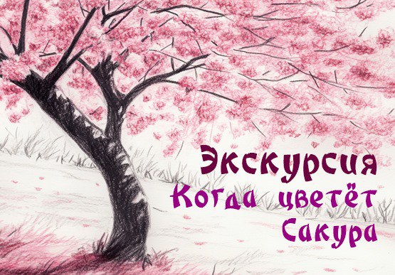 Когда цветёт сакура