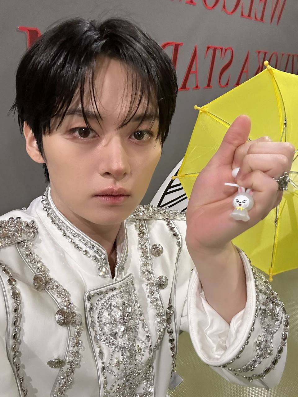 Предпродажа аксессуаров SKZOO Mejirushi от Stray Kids