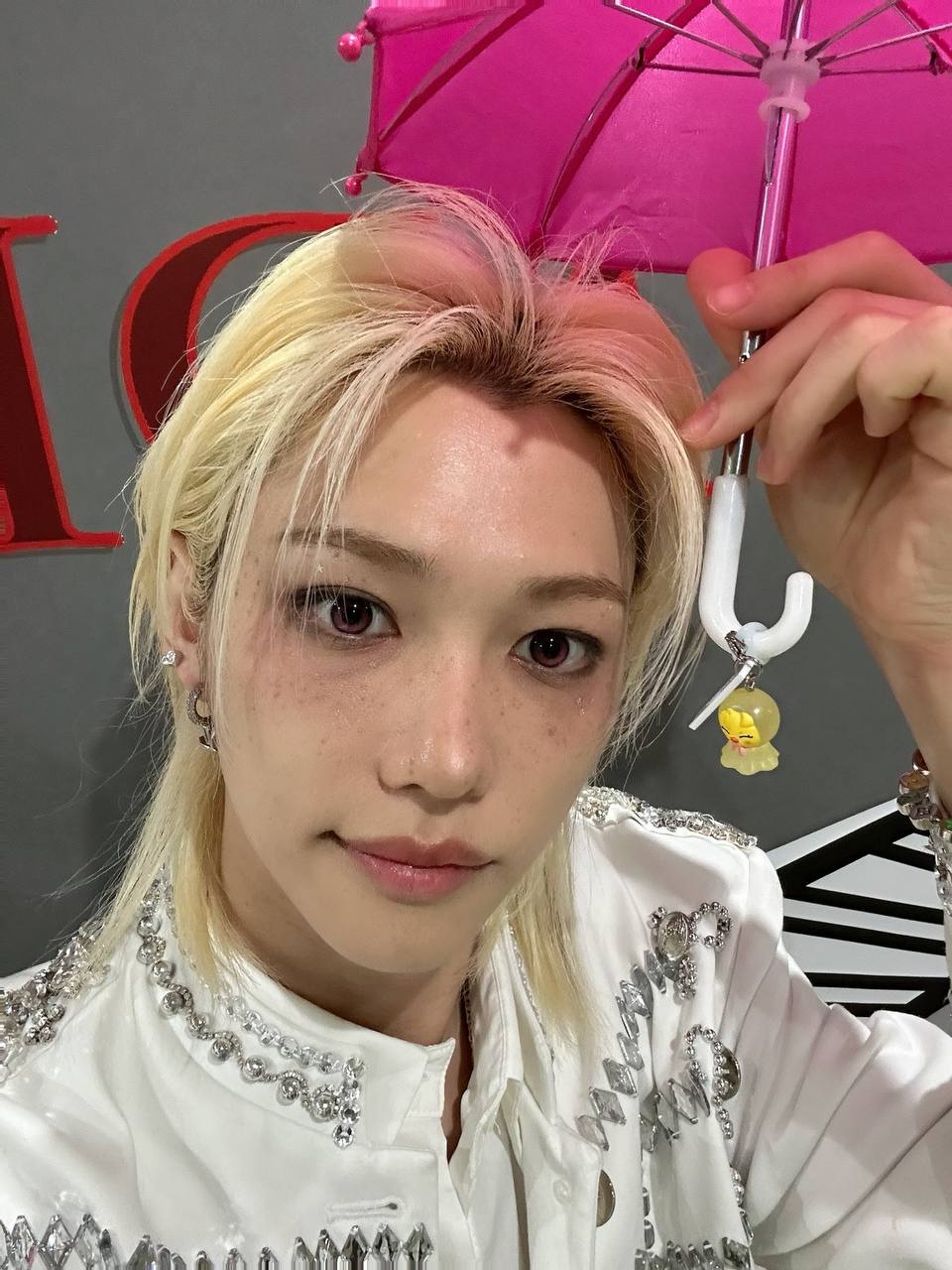 Предпродажа аксессуаров SKZOO Mejirushi от Stray Kids