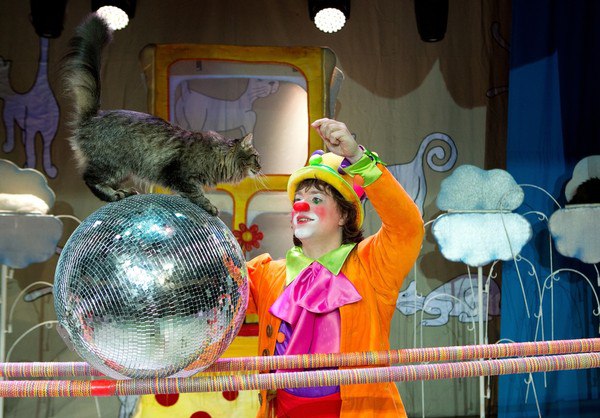 Кошки в городе