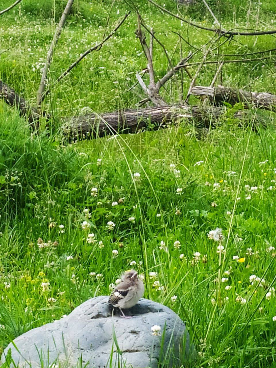 1⃣0⃣ Летняя школа йоги на Алтае с Юлией Бахаревой и Оксаной Ананьевой