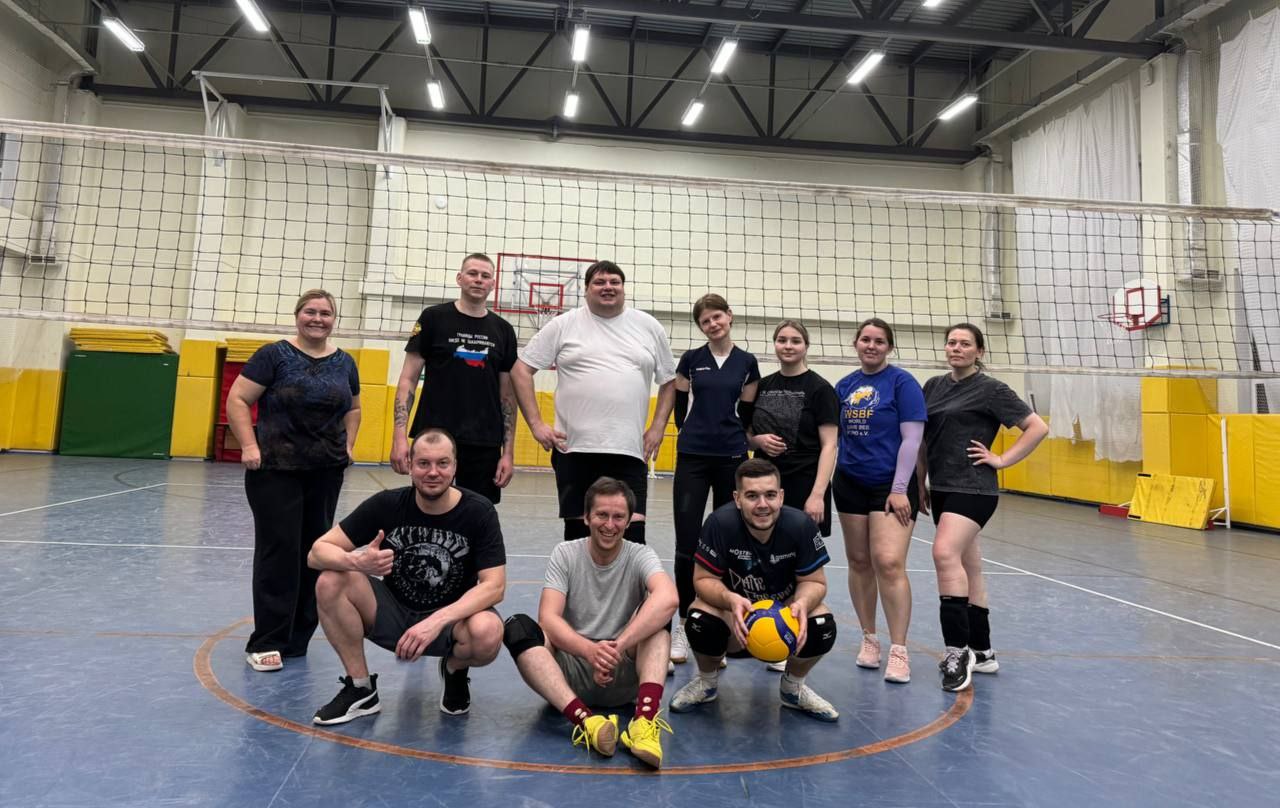 Волейбол (игра)