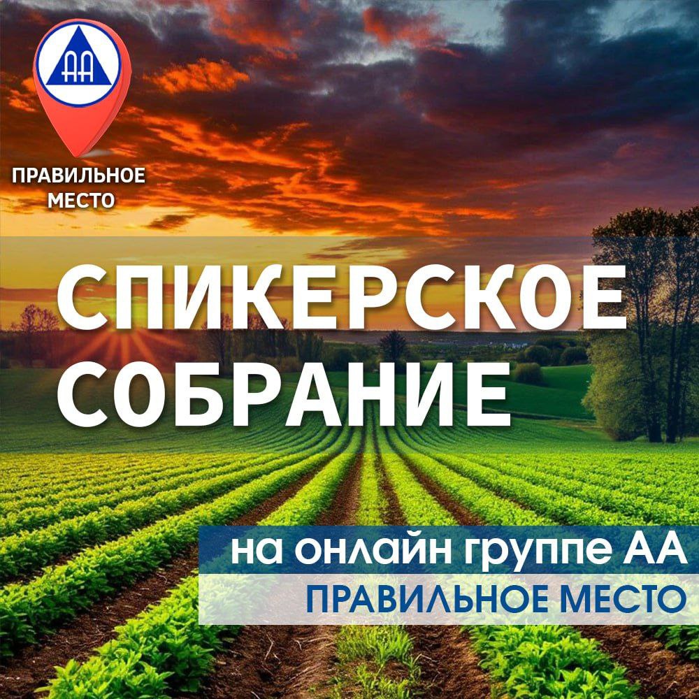 СПИКЕРСКОЕ СОБРАНИЕ на онлайн группе АА "Правильное место"