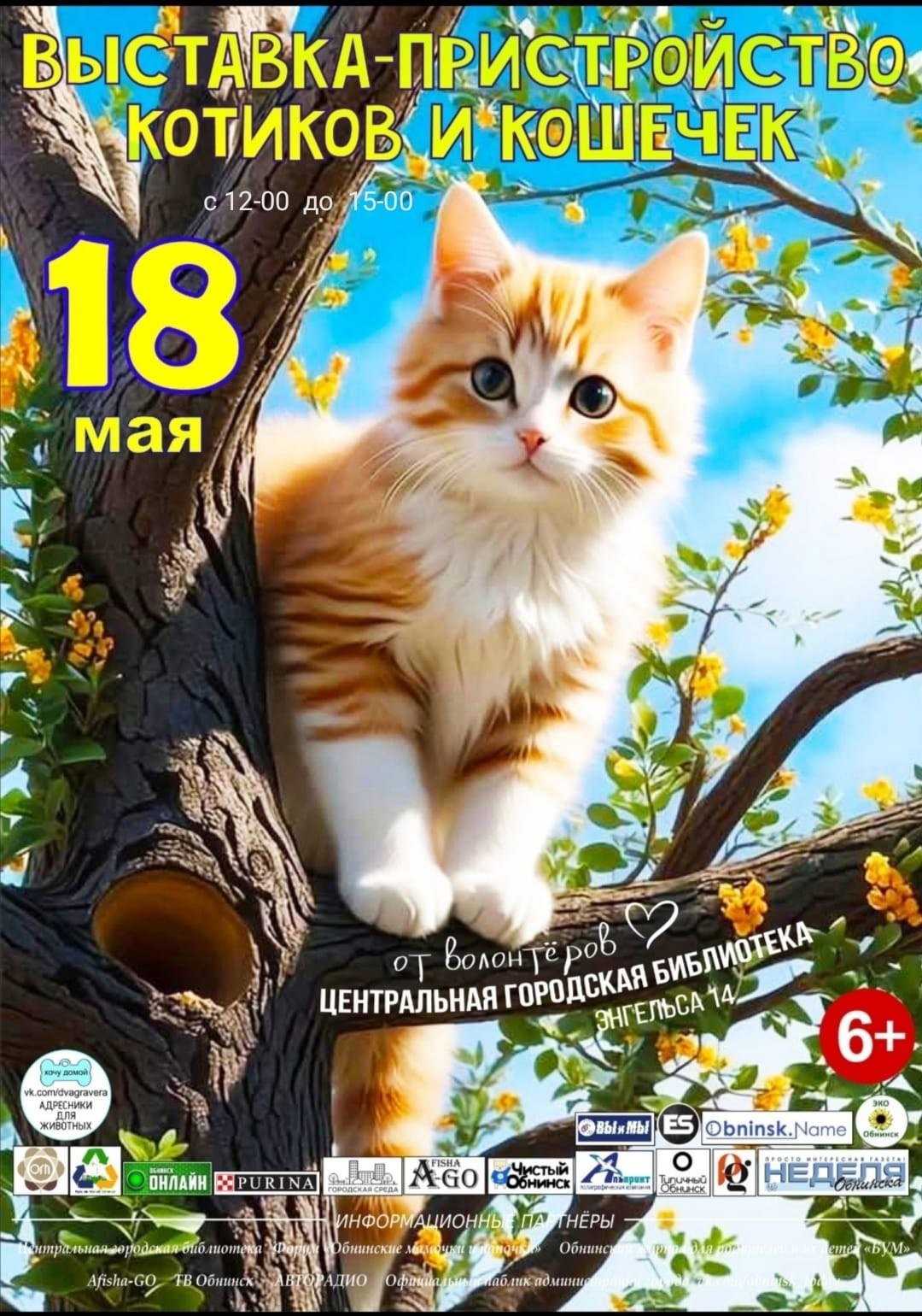 выставка-пристройство кошек и котят