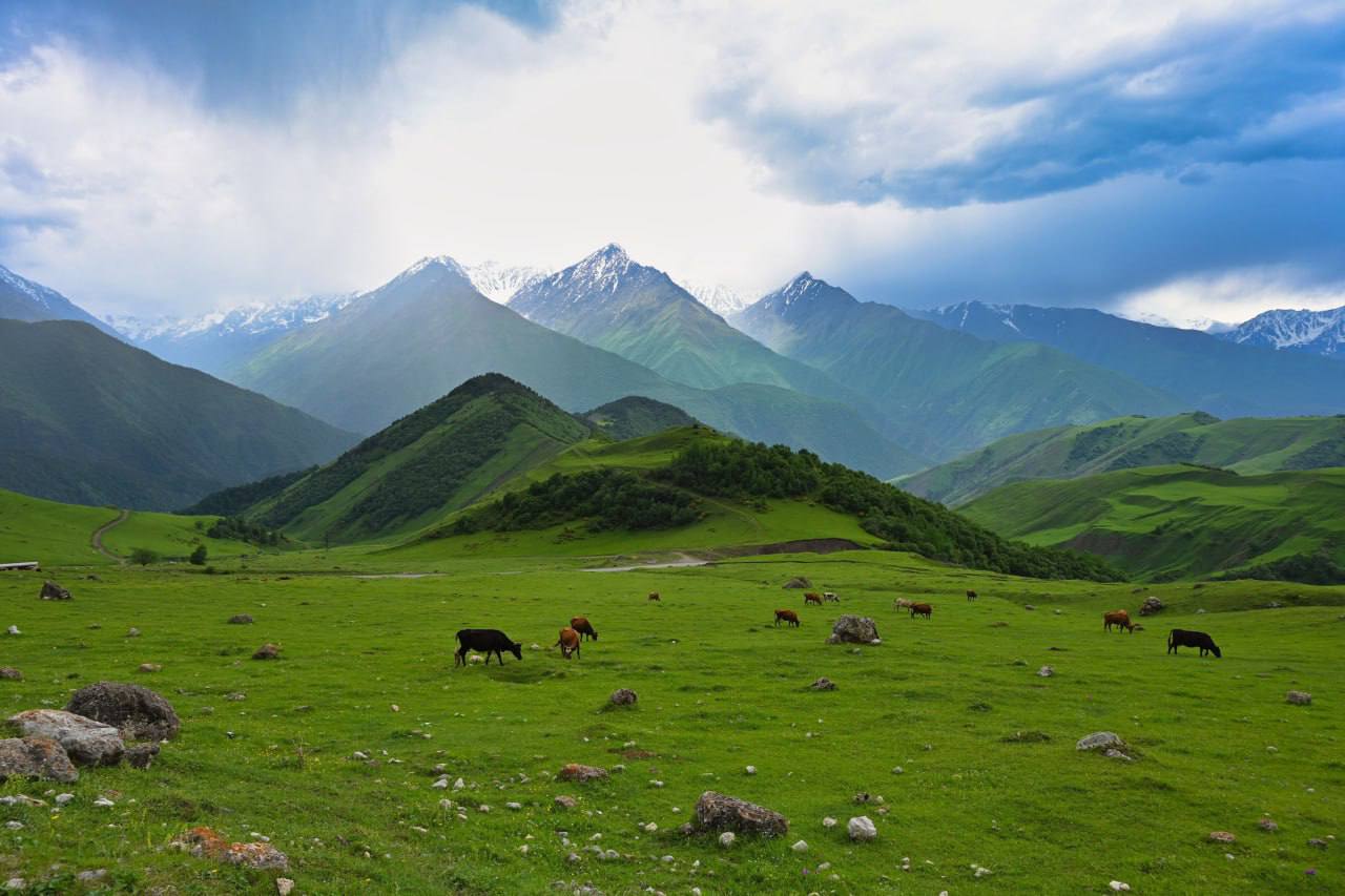 ТРИ РЕСПУБЛИКИ КАВКАЗА
