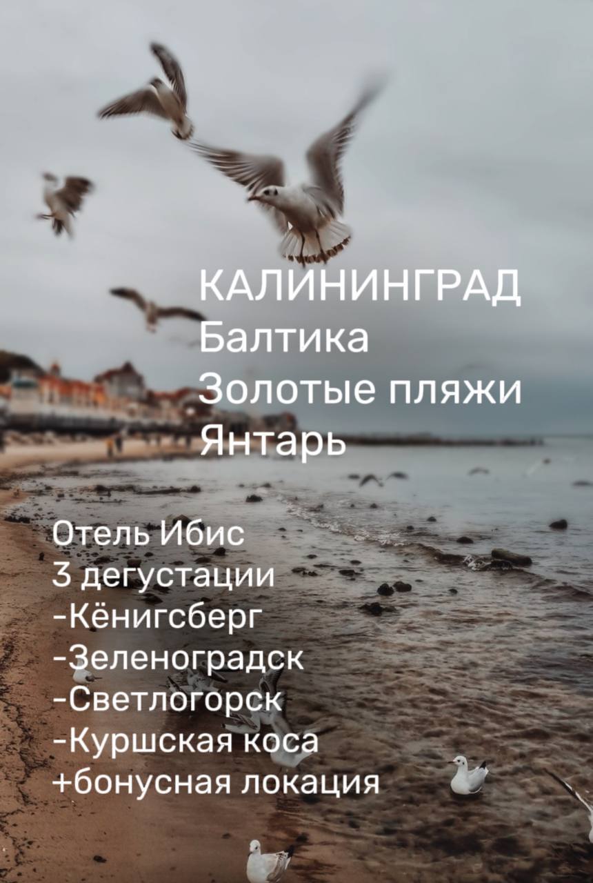 КАЛИНИНГРАД 25-27 июля