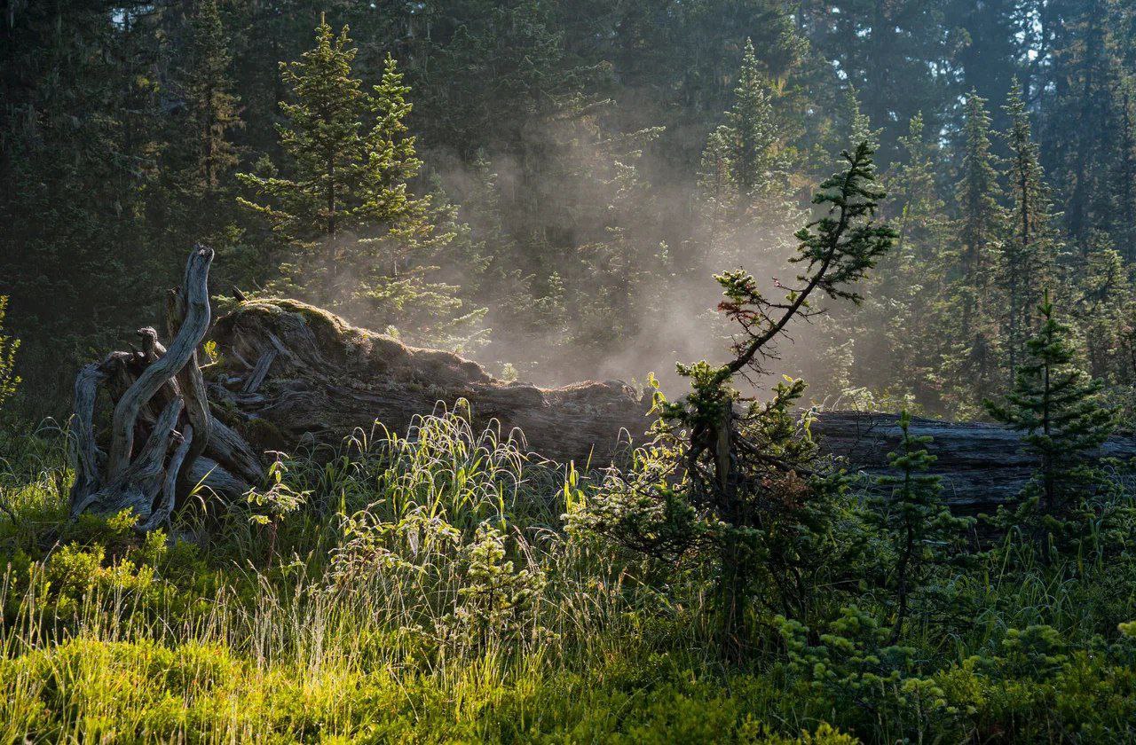 ЕРГАКИ НА ВЫХОДНЫЕ С ТРАНСФЕРОМ ИЗ АБАКАНА