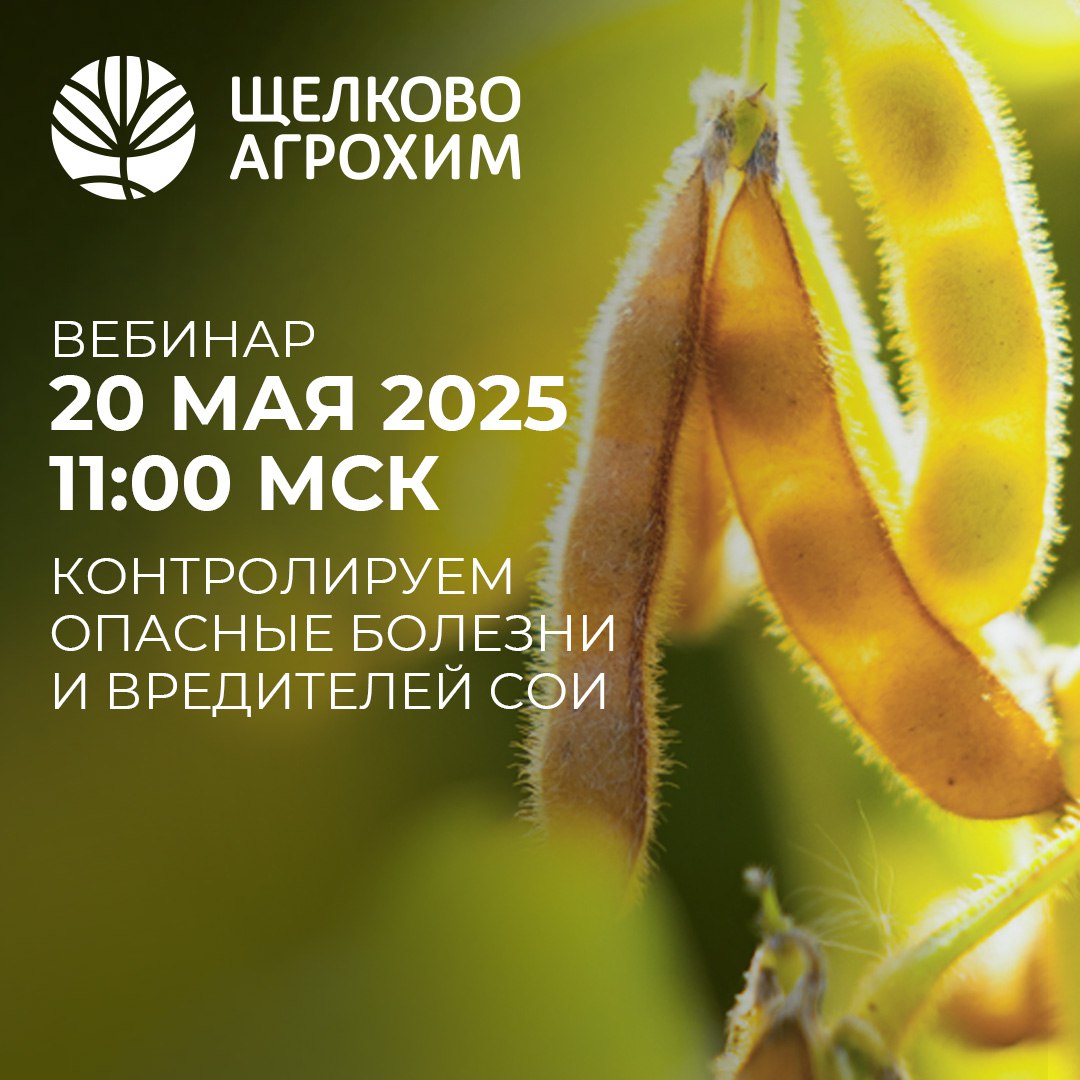 Эффективный контроль опасных болезней и вредителей сои