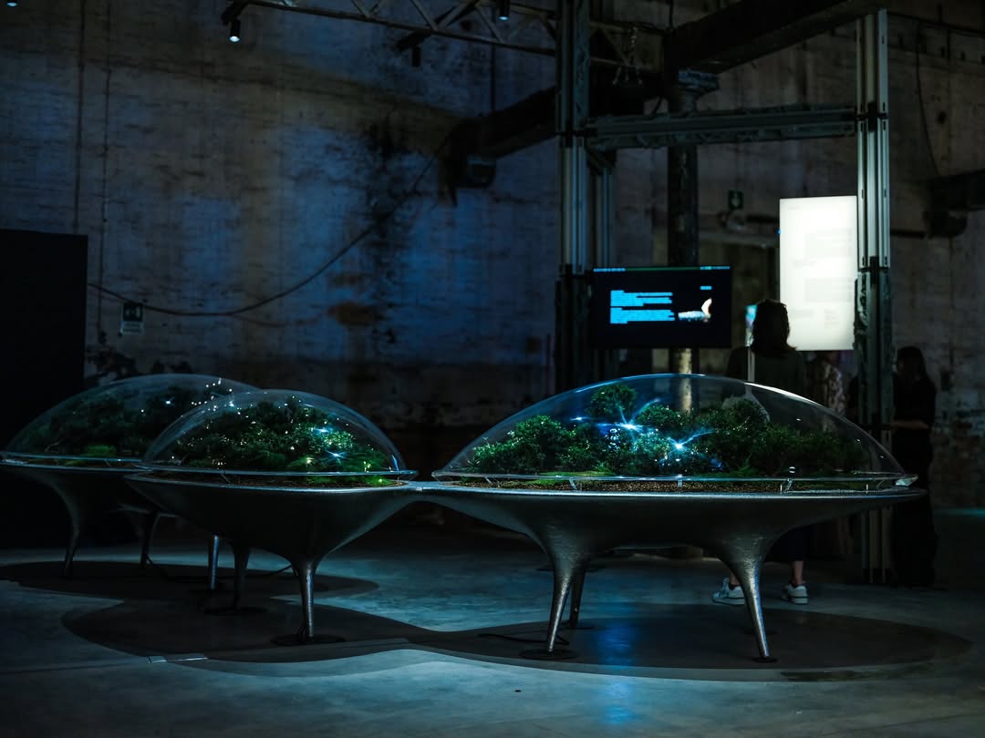 Город растений на Венецианской биеннале: архитектура будущего