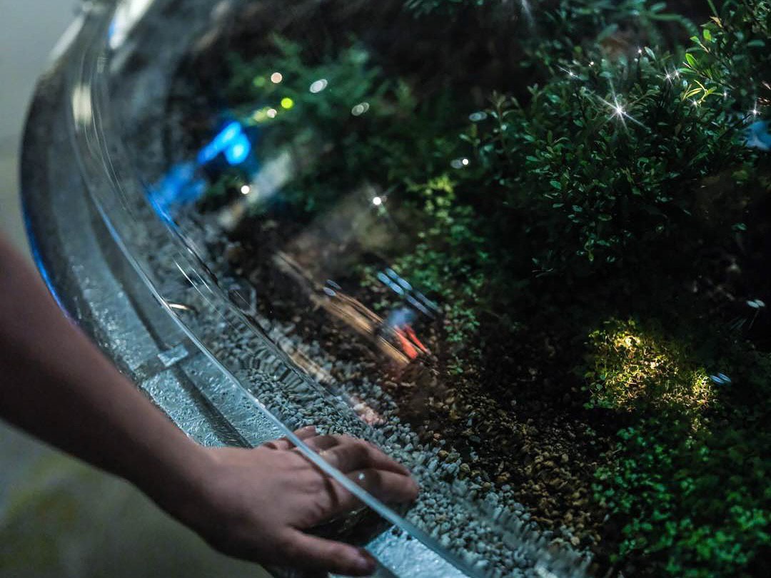 Город растений на Венецианской биеннале: архитектура будущего