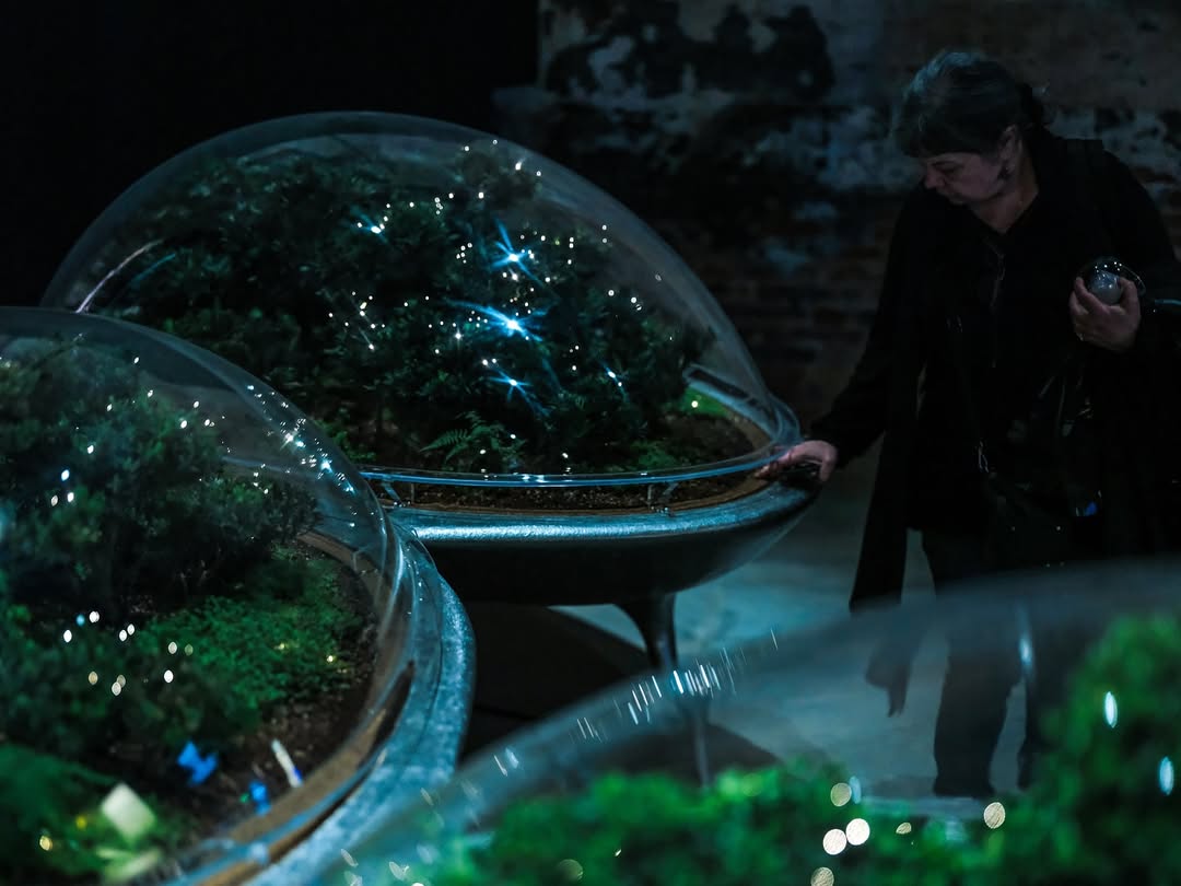 Город растений на Венецианской биеннале: архитектура будущего