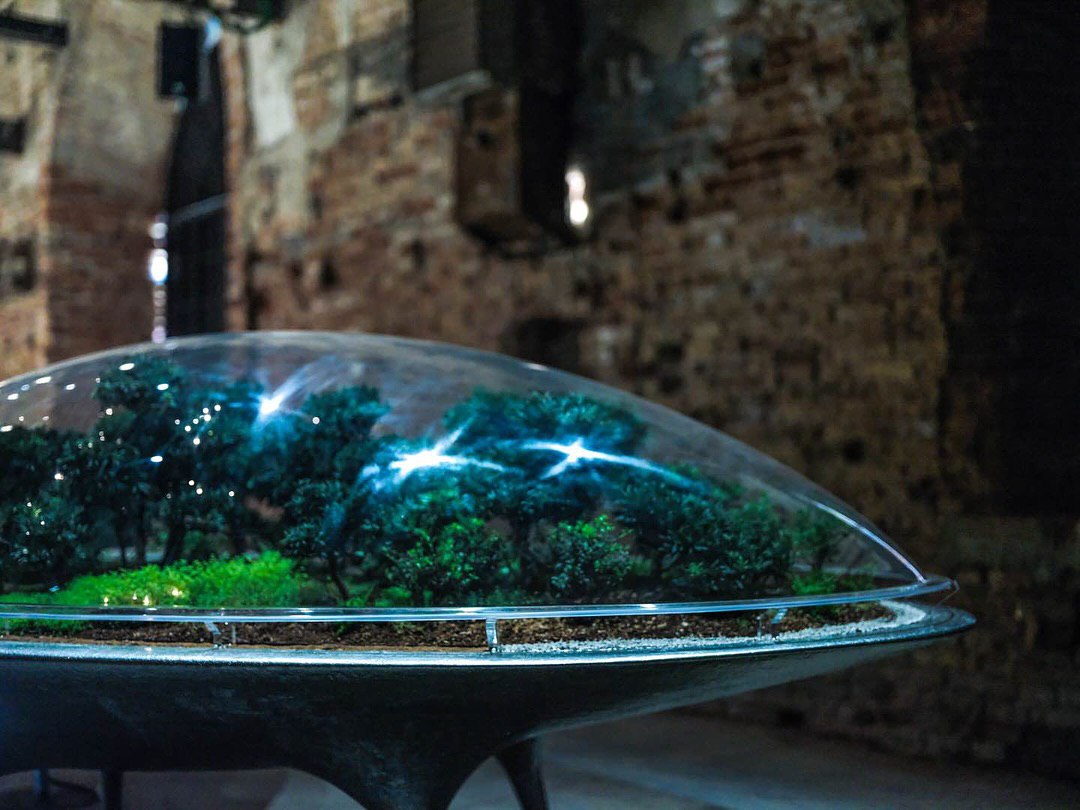 Город растений на Венецианской биеннале: архитектура будущего