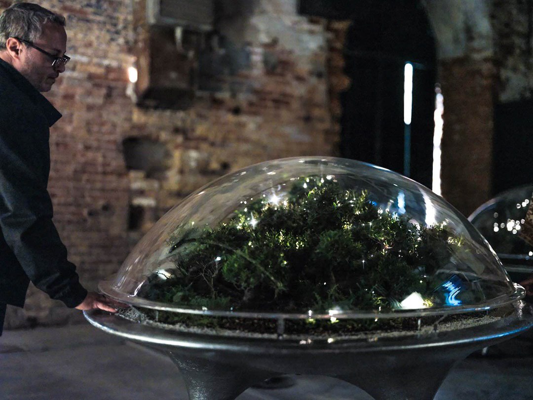 Город растений на Венецианской биеннале: архитектура будущего