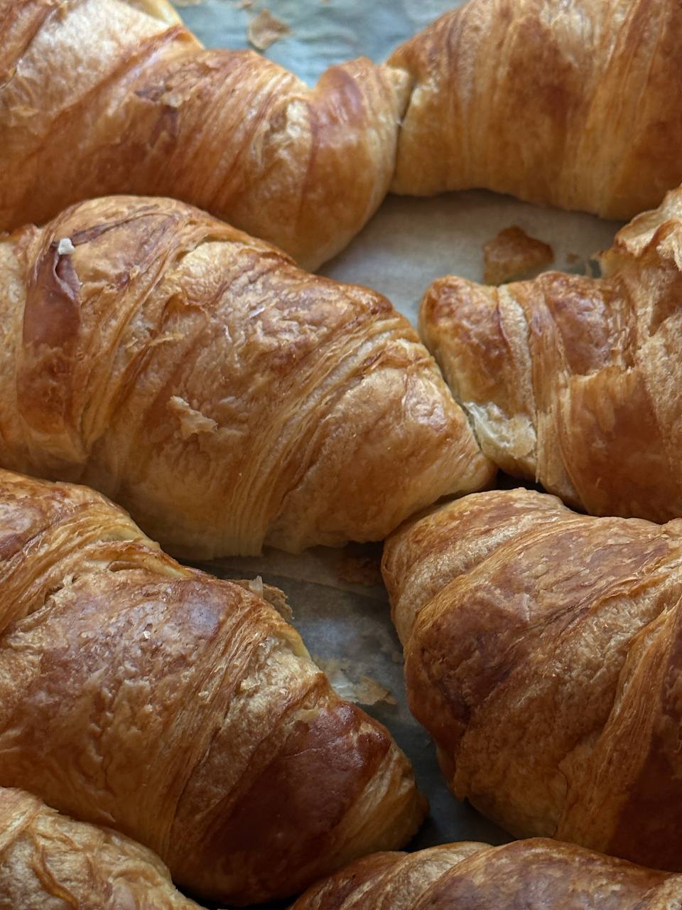 Куда ты пропала, Бернадетт?