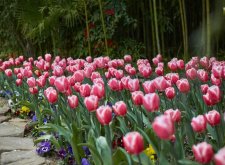 отдых и лечение на 8 дней! на двоих!