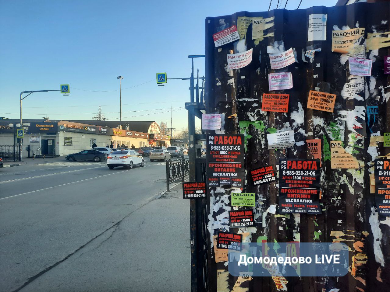 Домодедово LIVE