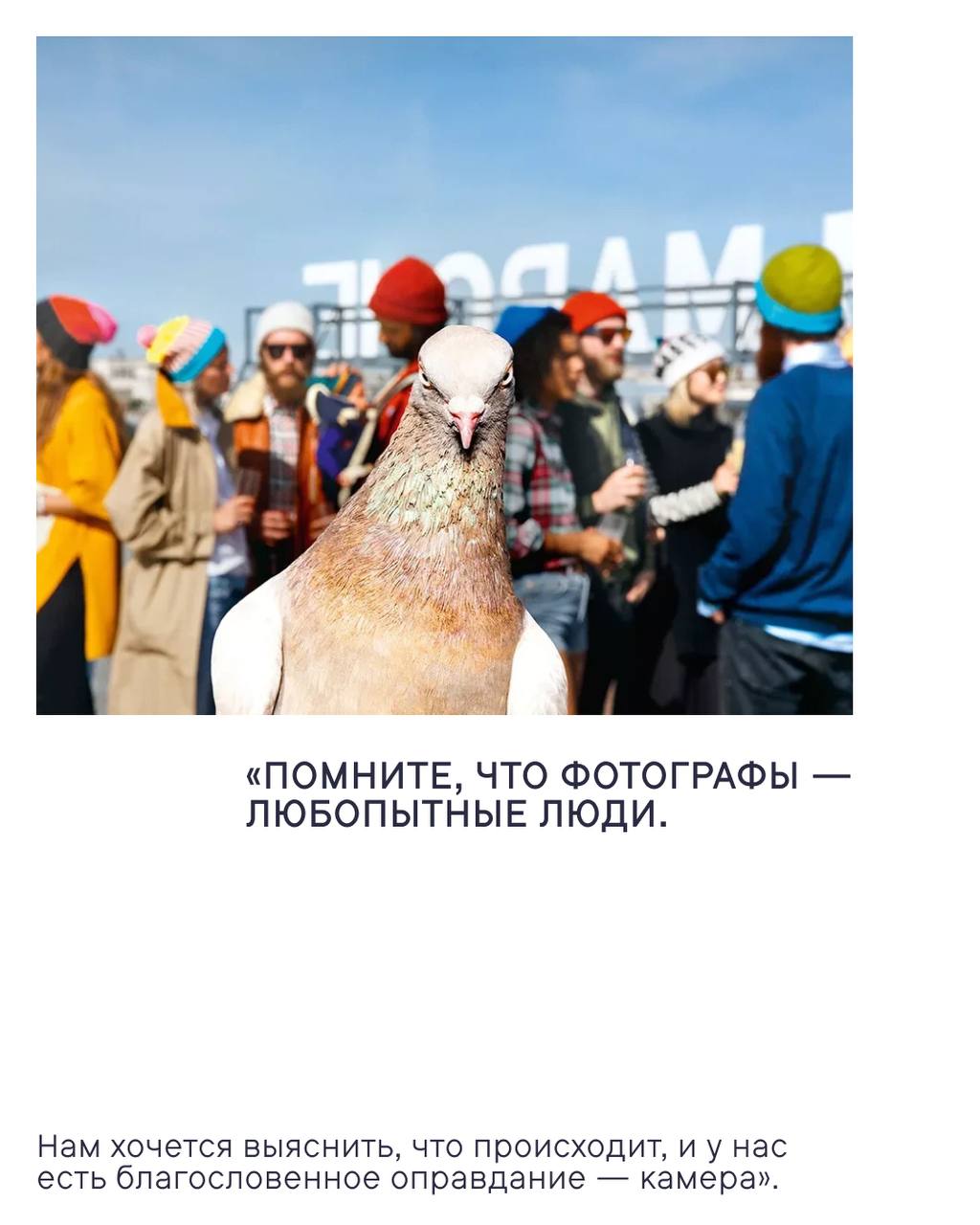 Фильм 'Я — Мартин Парр' из программы Beat Film Festival 2025 in Moscow