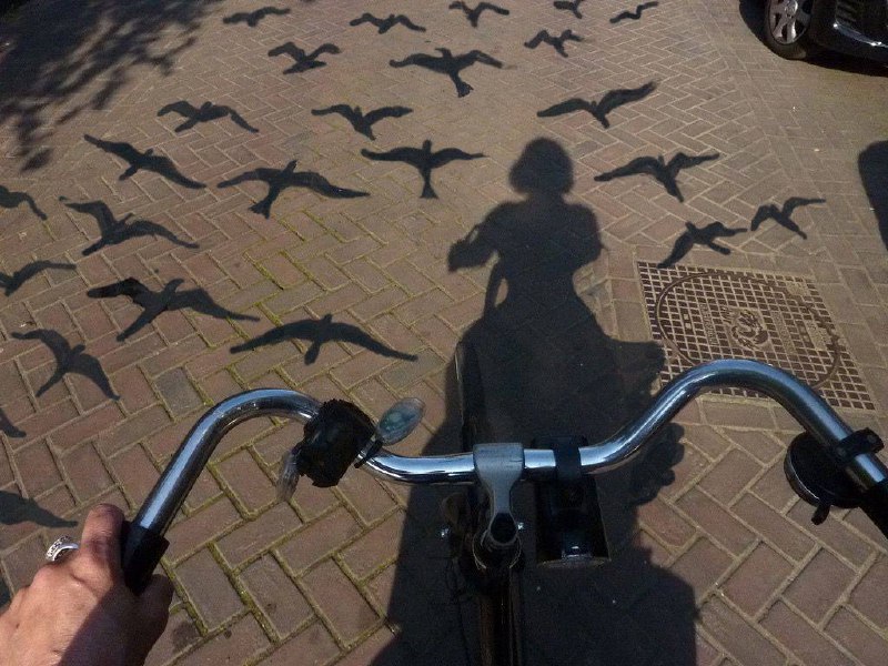 Жеребьевка на 22.05.2025!